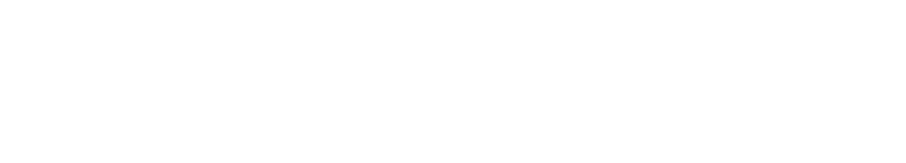 Snowflake Logo